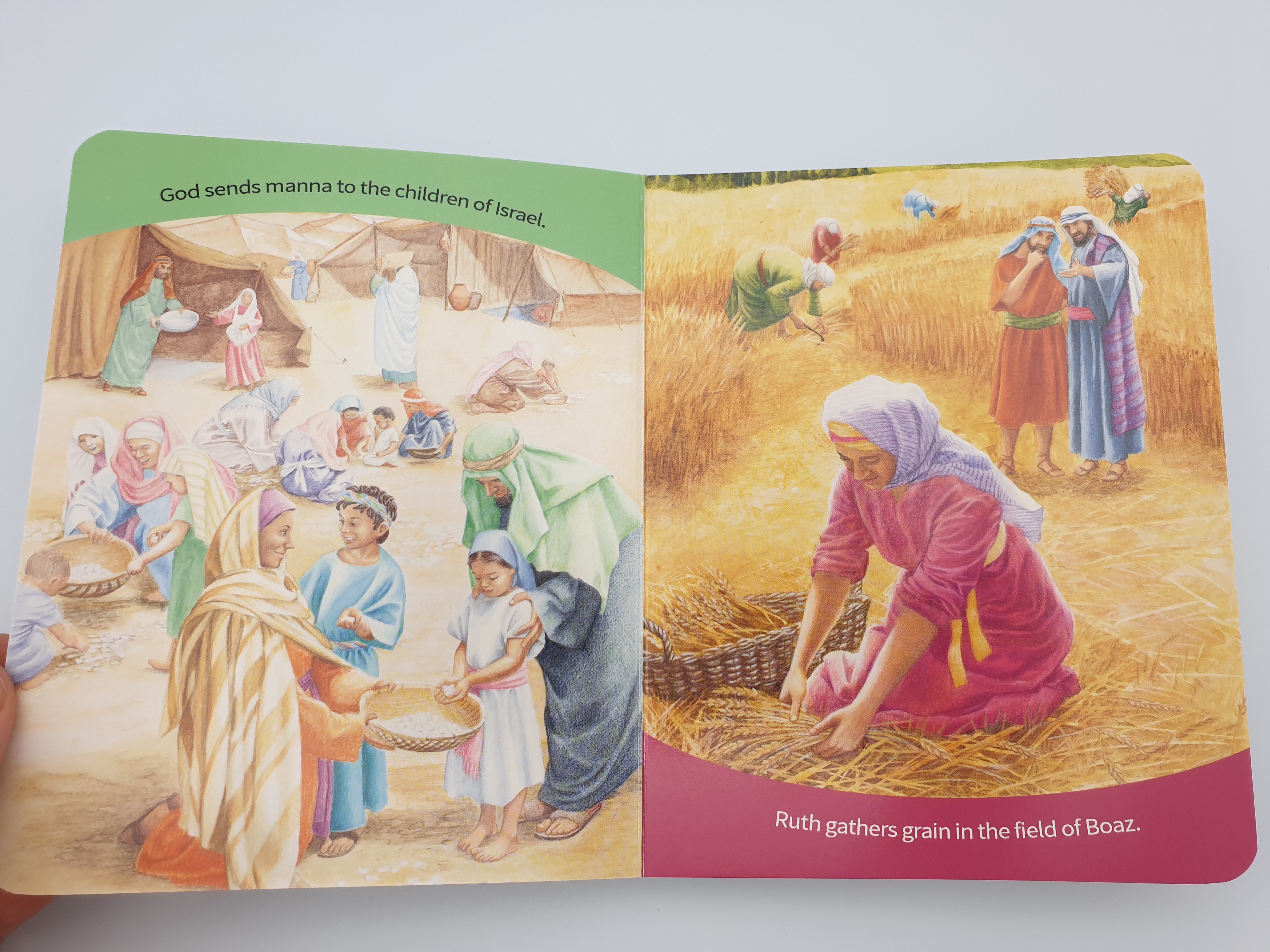 Bible Pictures for toddlers - From the book 101 Favorite Stories from the Bible 4.JPG